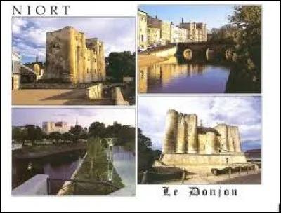 Niort (79) est connue pour son angélique confite. Mais vous, connaissez-vous le cours d'eau qui traverse cette ville ?