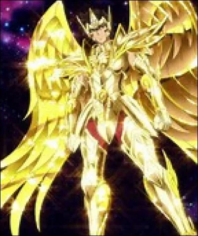 Quelle est la constellation de ce chevalier ?