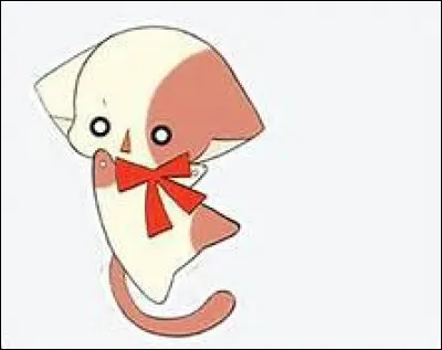 Je suis le chat du personnage principal du manga Kilari.