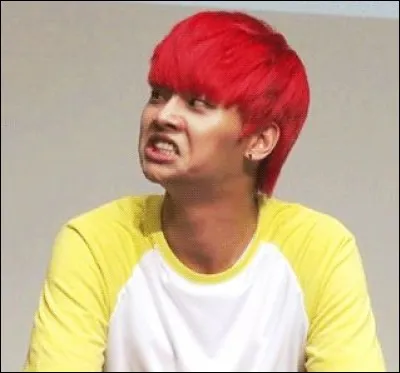 Est-il acteur en dehors de son métier de chanteur ?