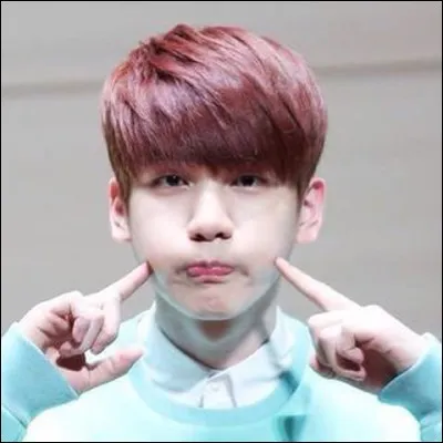 Quelle est sa nourriture préférée ?