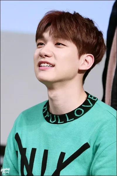 S'il devait être un animal, il serait :