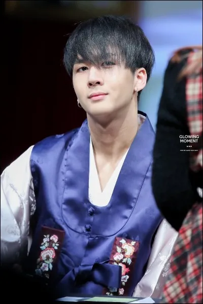 S'il n'avait pas été chanteur, Ravi aurait fait :