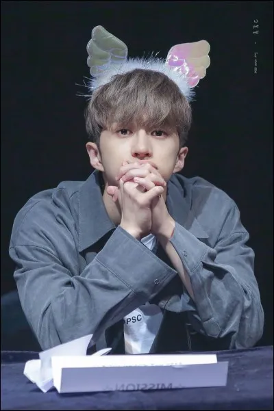 Sur quoi est basée cette chanson : "Don't want to be an idol" ? -Ken & Leo