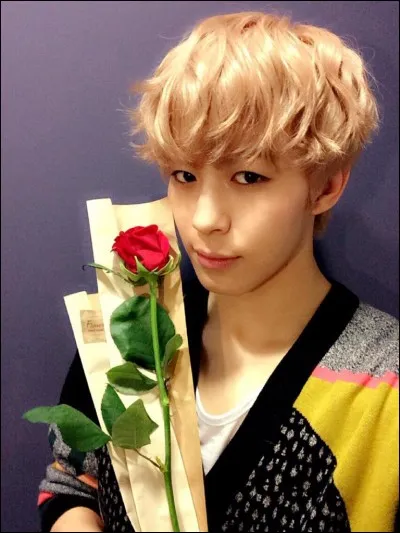 Quelle est sa couleur favorite ?