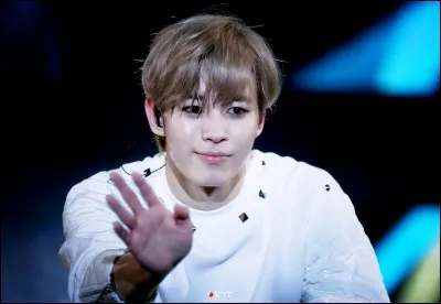 Qui lui a fait découvrir cette passion ?