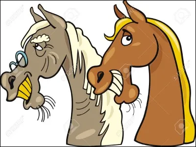 Quelle est l'espérance de vie moyenne d'un cheval ?