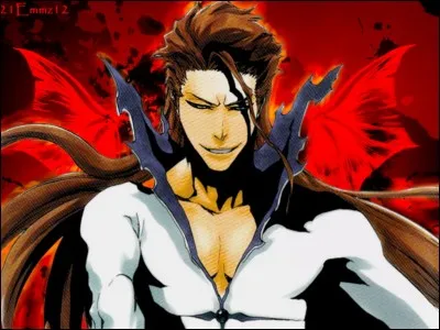 Quel objet Aizen a-t-il à l'intérieur de lui ?
