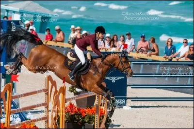 Avec qui Edwina Tops Alexander remporta-t-elle le Global Champions Tour à Miami Beach (photo)?