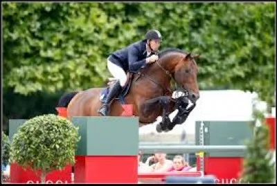 Qui est cet impressionnant couple?