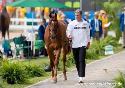 Quelle est la monture de ce grand Ludger Beerbaum?
