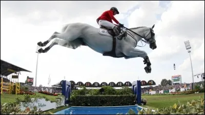 Comanche, Shutterfly et Fibonacci sont des chevaux montés par..