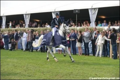 Qui s'adjugea le Grand Prix de Lummen en 2014?