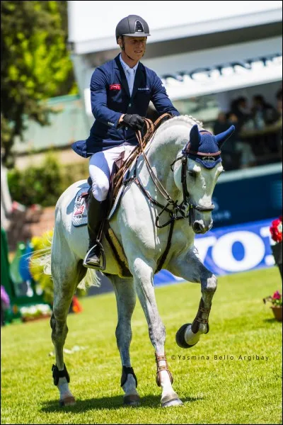 Qui est le cavalier de Chardonnay 79?