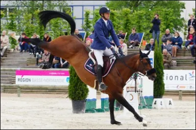 Par qui, Armitages Boy a-t-il été racheté?