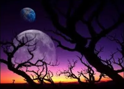 Les grammairiens donnent le nom de "syntaxe" à l'ordre des mots et à la construction de la phrase. Est-ce exact ?