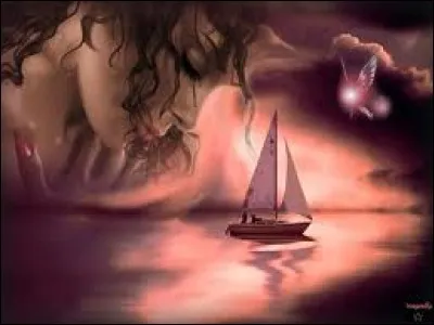 7 éléments permettent de définir le schéma de la situation de communication. Lesquels ?