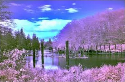 Un personnage qui se trouve dans une situation drôle va faire rire le public s'il l'exploite avec talent.