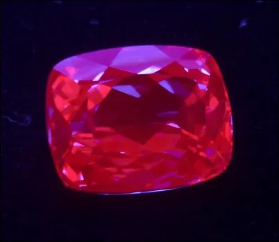 Quel est le diminutif des Pokémon Saphir Alpha et Pokémon Rubis Oméga ?