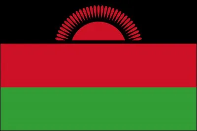 Lequel de ces pays a un drapeau comme sur la photo ci-contre ?