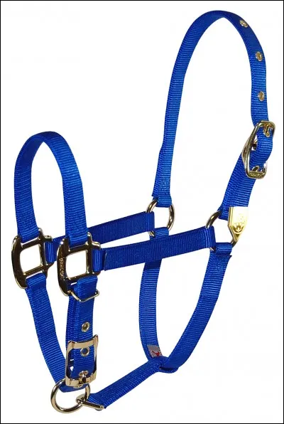 Dans le licol il n'y a pas...