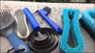 Quelle brosse n'existe pas ?