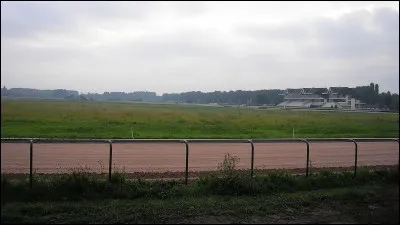 Pour amener son cheval en carrière, il ne faut pas...