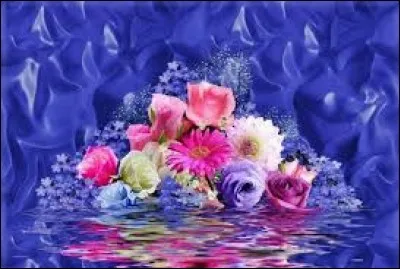 Que nous dit la comparaison d'une expression fossile quand on veut être fin ?