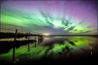 Intelligent, qui ---- et qui ----.