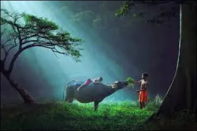 Que forment l'intelligence et la complicité mises au service du méfait ?