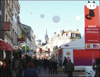 Le festival international de la bande dessinée se tient tous les ans en janvier depuis 1974 dans cette ville. De quelle ville s'agit-il ?