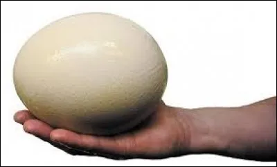 Comment dit-on "oeuf d'autruche" ?