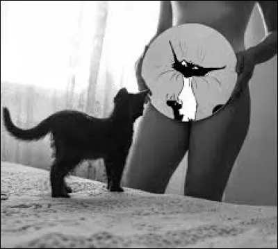 Mesdames, petit bonjour de l'Isère !