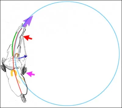 Qu'est-ce un une volte ?
