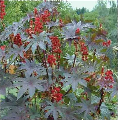 Aide &agrave; exp&eacute;dier les affaires courantes.