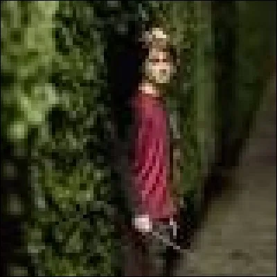 En parlant du tournoi des trois sorciers, quelle(s) est(sont) l'(les) épreuve(s) que Fleur a réussie(s) ?