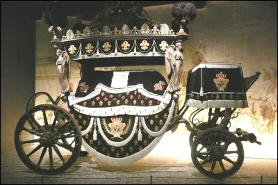 De quelle race sont les chevaux ailés de Mme Olympe Maxime ?