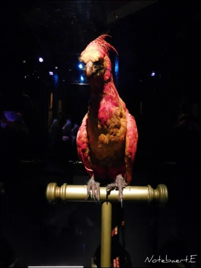 En quoi Barty Croupton Jr. (alias Alastor Maugrey) transforme-t-il Drago Malefoy ?