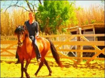 Qu'est-ce que le coup de sang ?