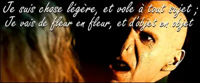 Voldemort entame un travail de généalogie, l'esprit rongé par le Sureau, descendant profondément dans les racines de l'histoire de la magie, de rameaux en rameaux Où chaque trouvaille résulte d'une menace, d'une torture, d'une exécution