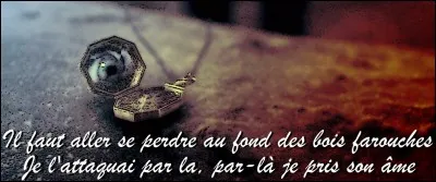 C'est le duel à distance : Voldemort cherche une baguette, Harry détruit ses Horcruxes. Ce même Potter détruira peu de temps après un médaillon, aidé de ses amis de toujours...