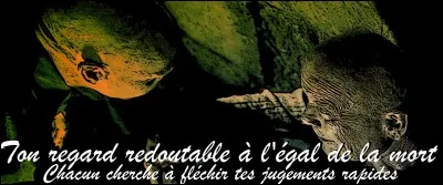 Sur le point de percer le mystère de la baguette, Grindelwald pris en tenaille dans sa geôle, une urgence force Voldemort à abréger la séance de torture...
