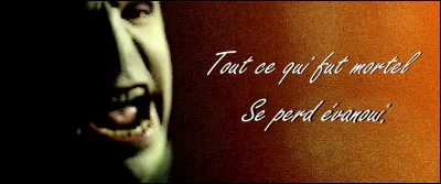 Le vacarme silencieux avec lequel uvre Potter n'a pas permis à Voldemort de sentir que trois de ses Horcruxes ont déjà été englouti par ses flots bouillonnants