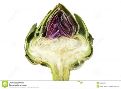 Palpitant ou d'artichaut !