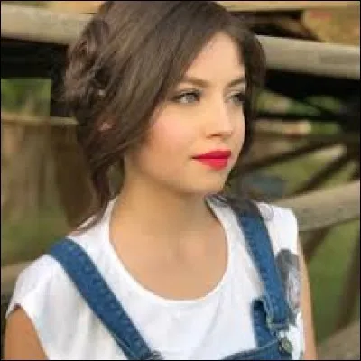 Elle a ouvert une chaîne YouTube du nom de Karol Sevilla. Combien d'abonnés a-t-elle atteints récemment en février 2017 ?