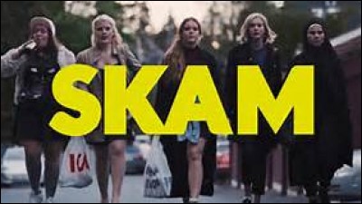 Quelle est l'origine de la série Skam ?