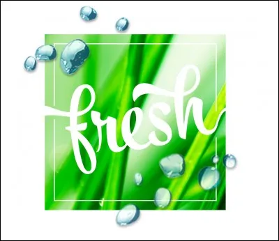 Qui a repris "Fresh" des Kool & the Gang's en 1996 ?