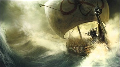 Quel nom a-t-on donné aux navires vikings ?
