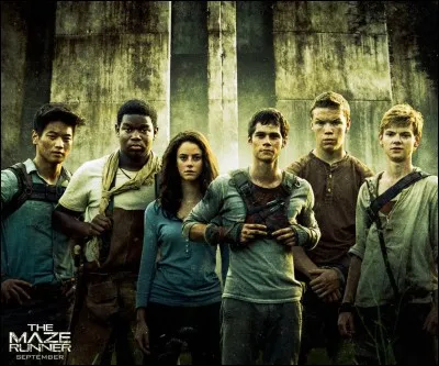 Pourquoi la production pour le film "The maze runner" s'est-elle arrêtée ?