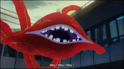 À quoi ressemble l'Ayakashi que Yato utilise pour apprendre à Yukine la technique de la barrière ?